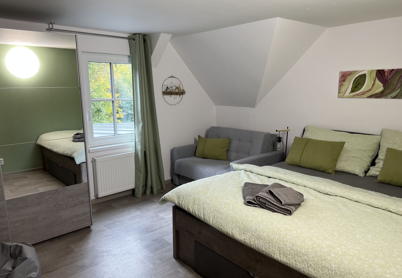 Villa in Tanvald - LSH141 