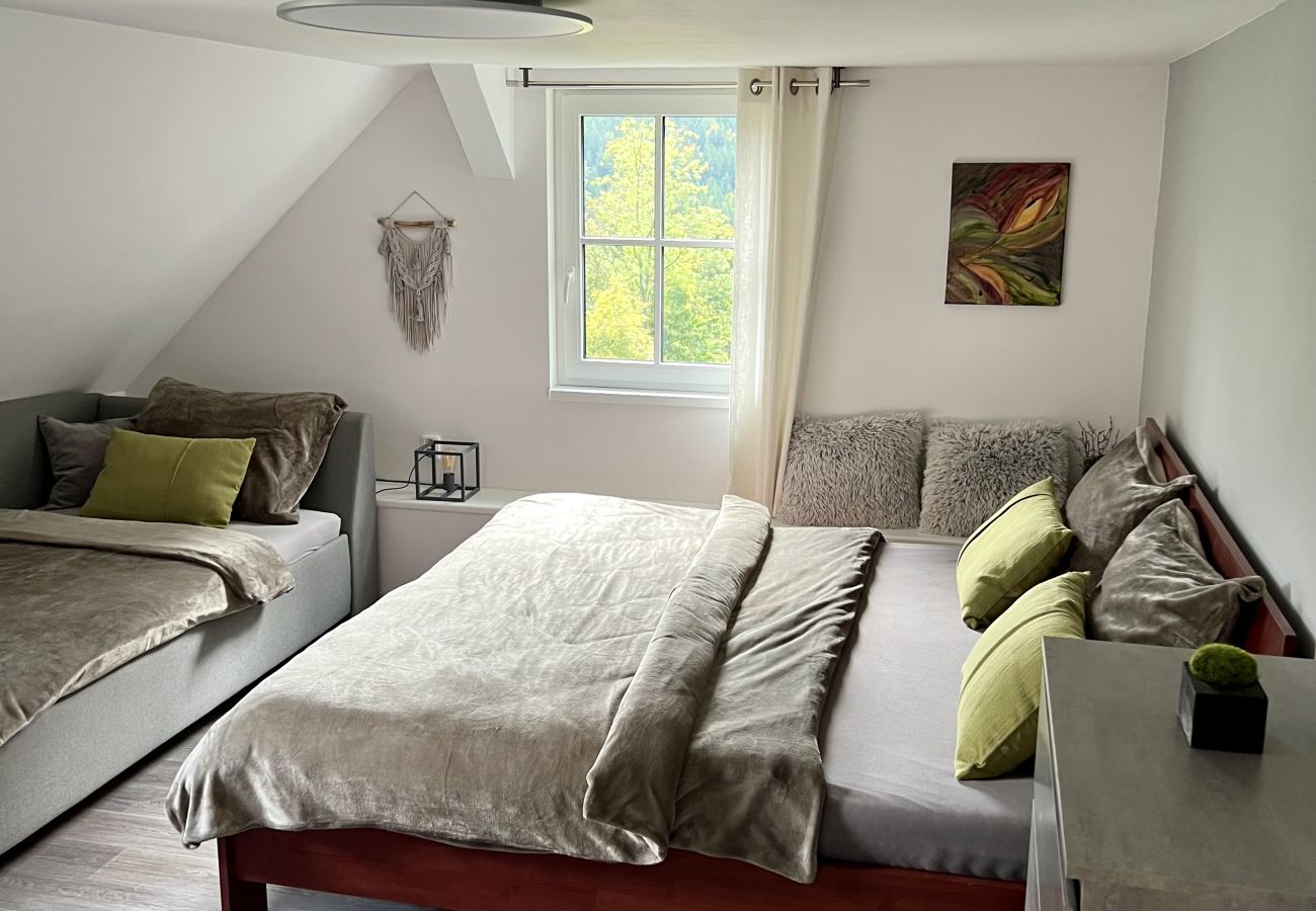 Villa in Tanvald - LSH141 