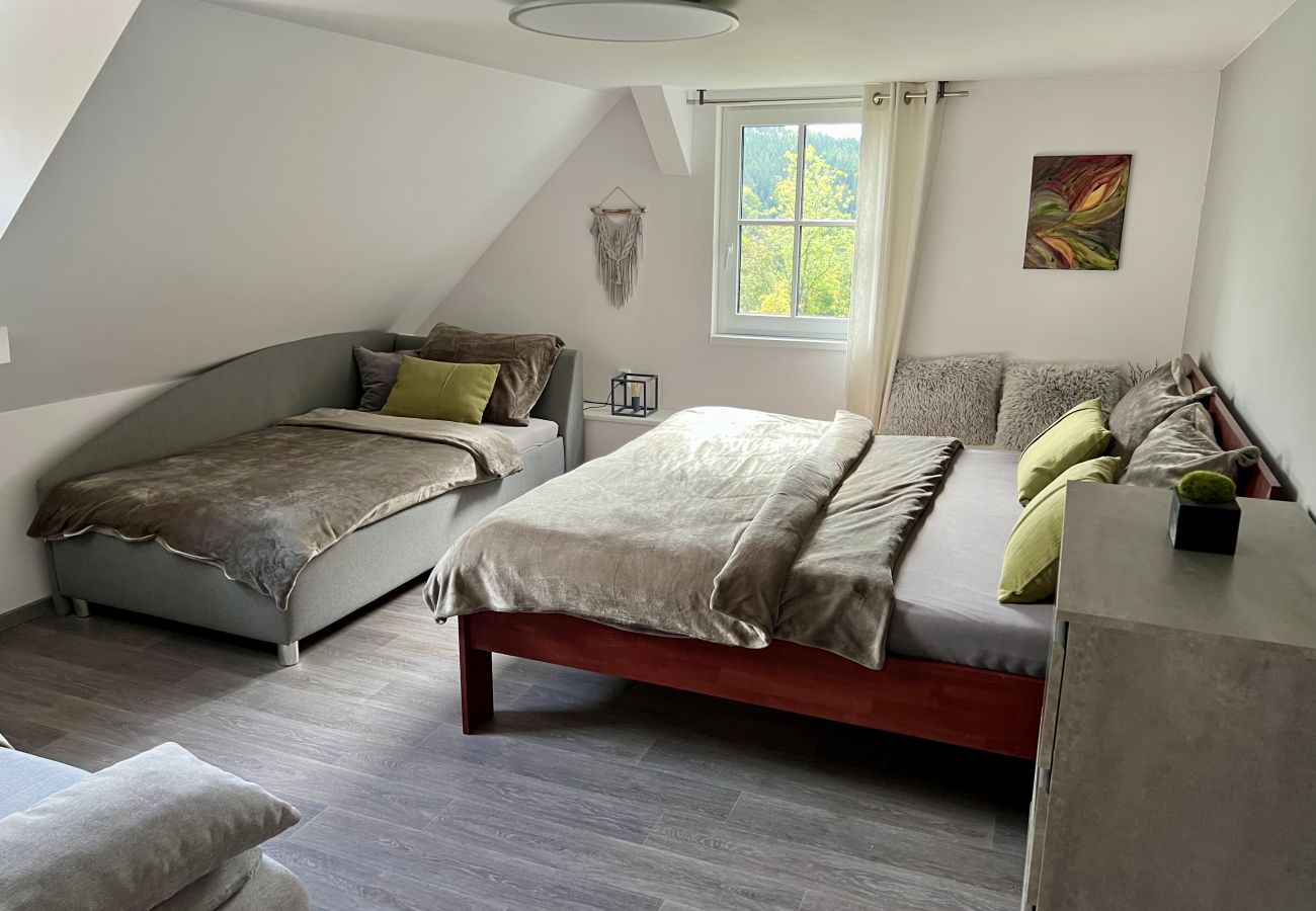 Villa in Tanvald - LSH141 