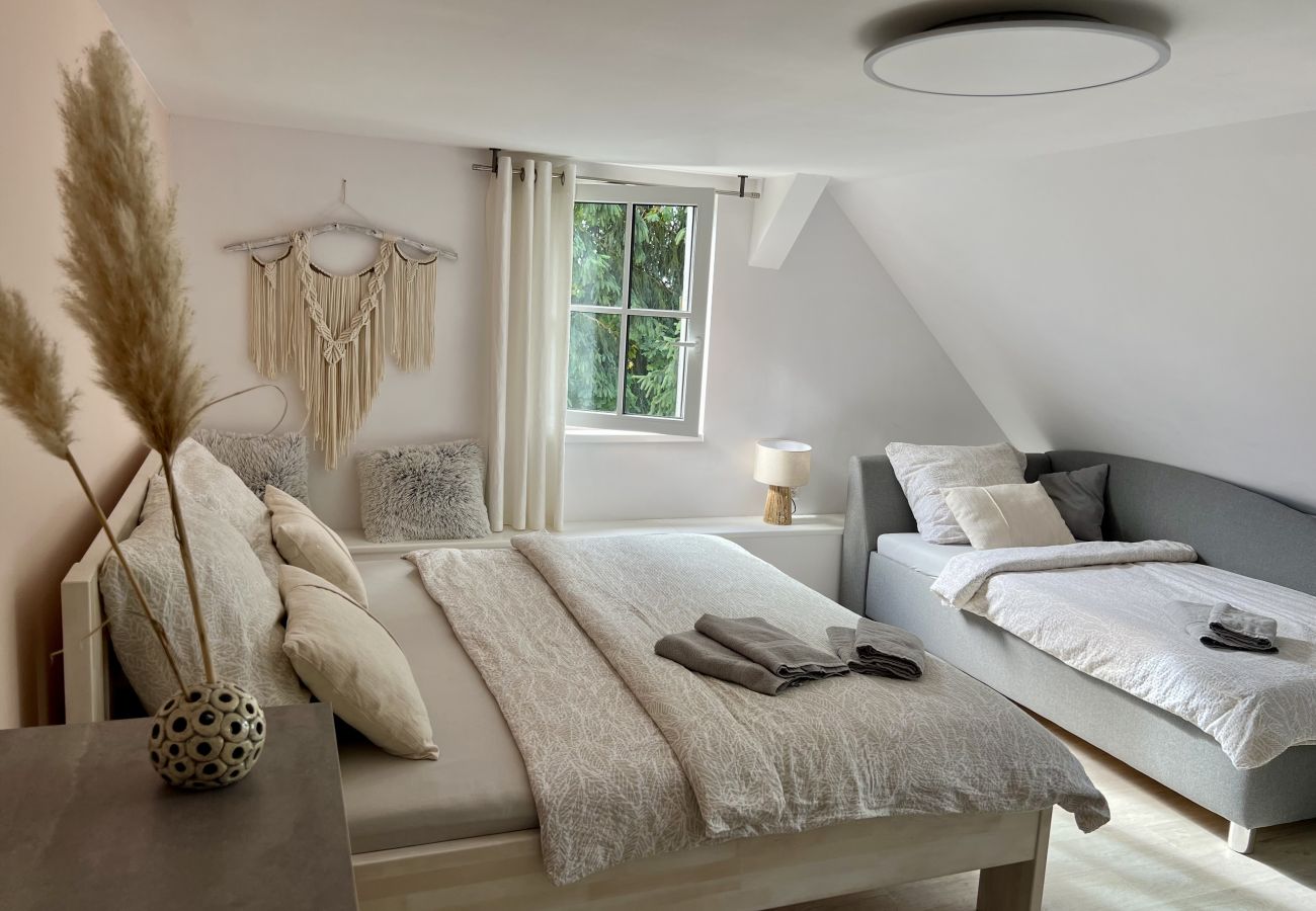 Villa in Tanvald - LSH141 