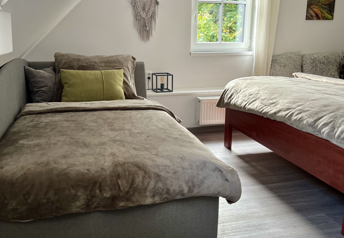 Villa in Tanvald - LSH141 