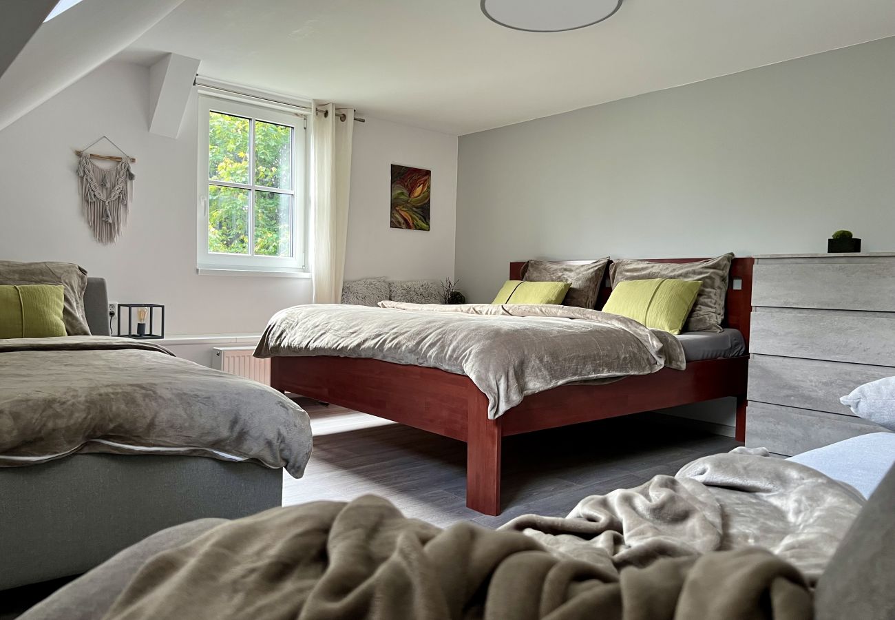 Villa in Tanvald - LSH141 