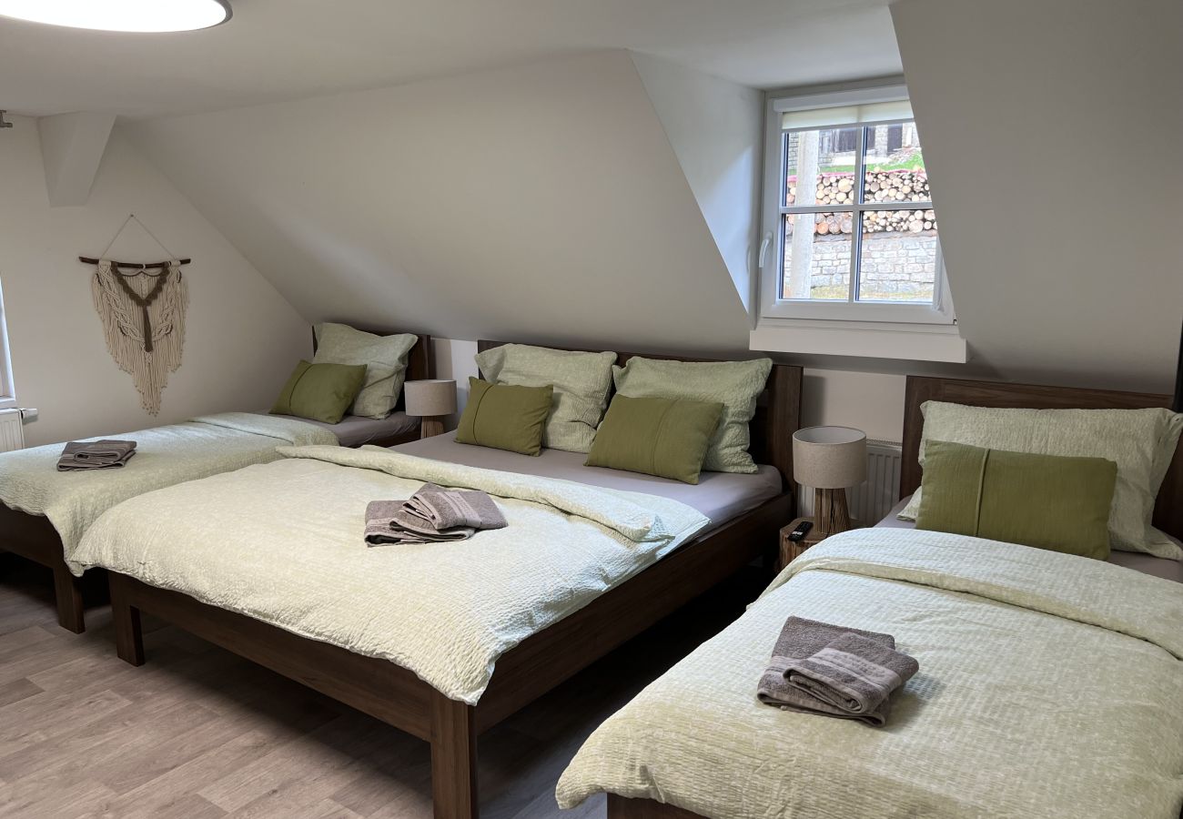 Villa in Tanvald - LSH141 