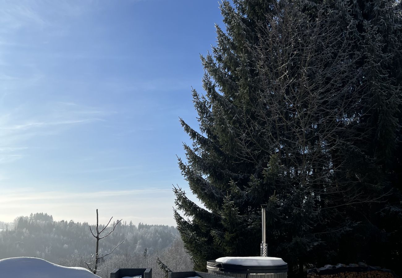 Villa in Tanvald - LSH141 