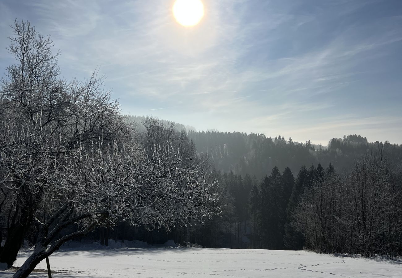 Villa in Tanvald - LSH141 