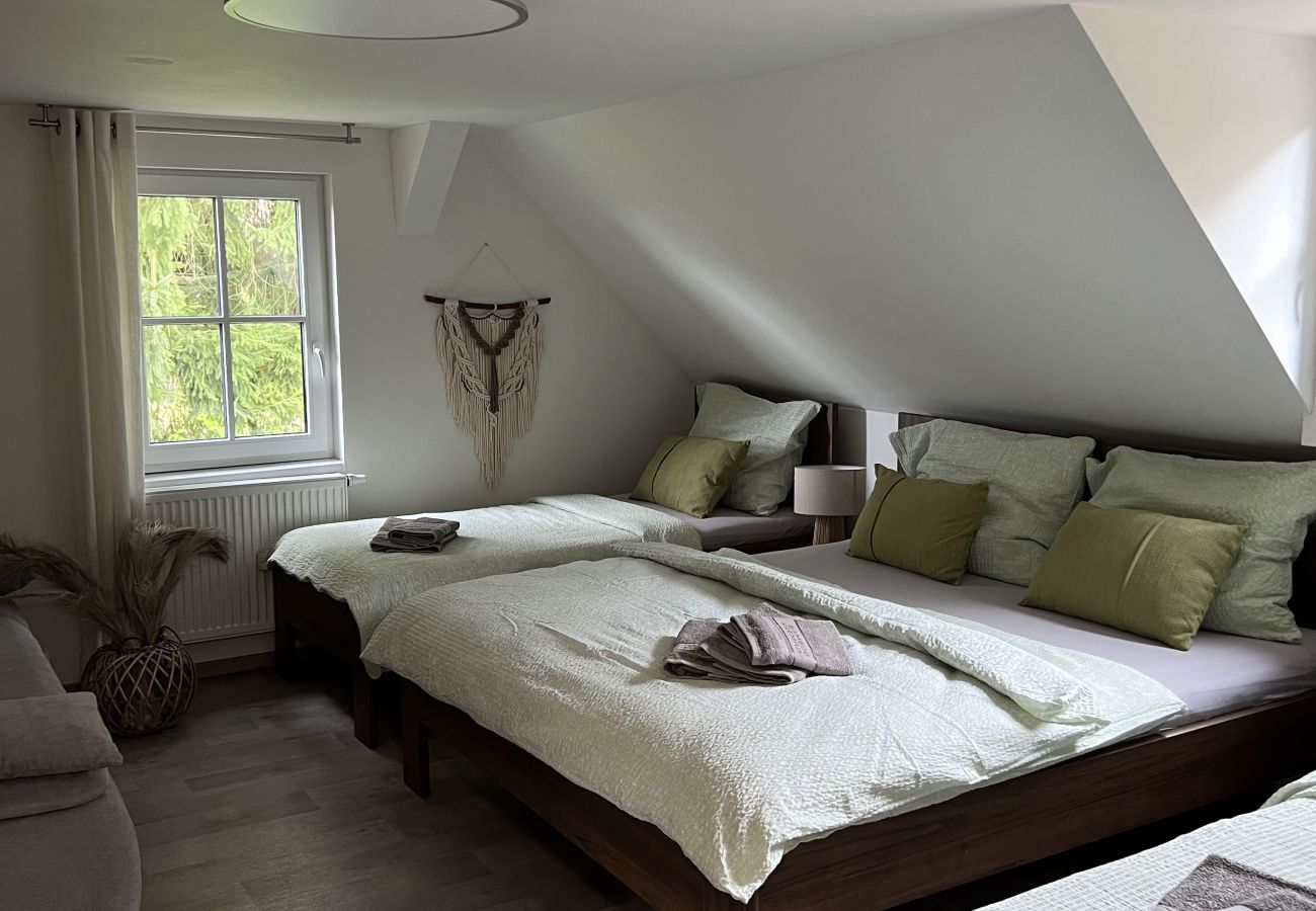 Villa in Tanvald - LSH141 