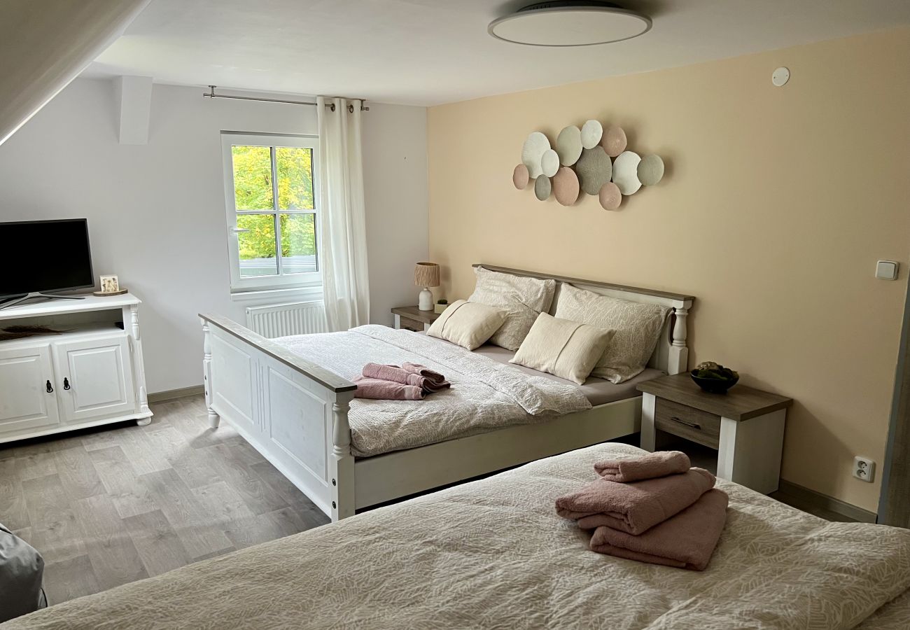 Villa in Tanvald - LSH141 