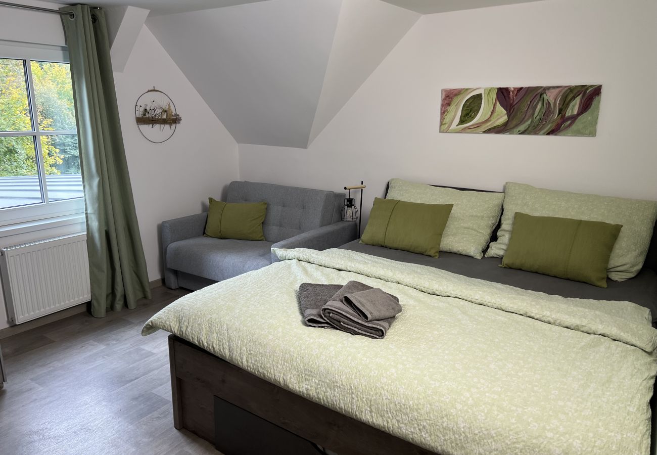 Villa in Tanvald - LSH141 