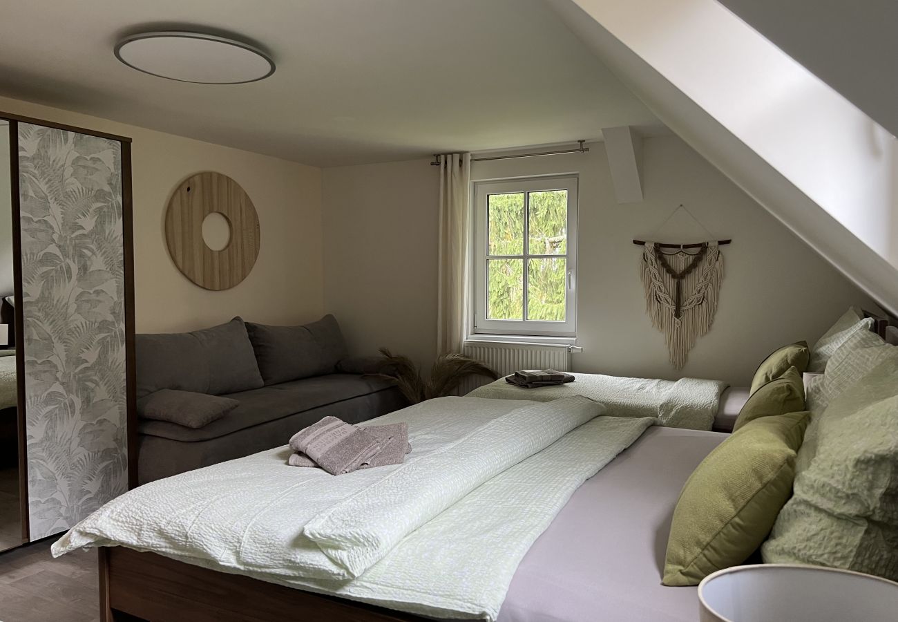 Villa in Tanvald - LSH141 