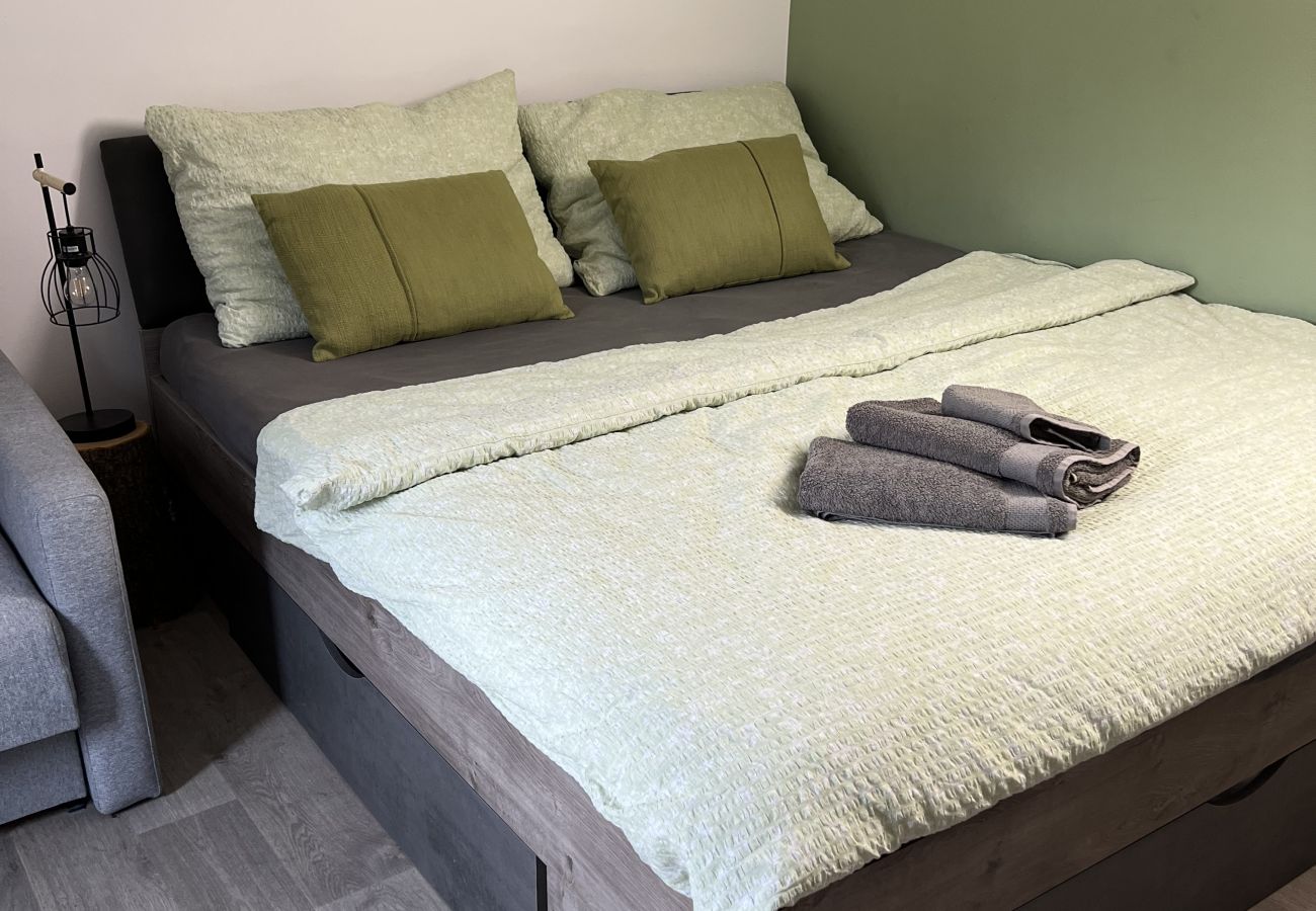 Villa in Tanvald - LSH141 