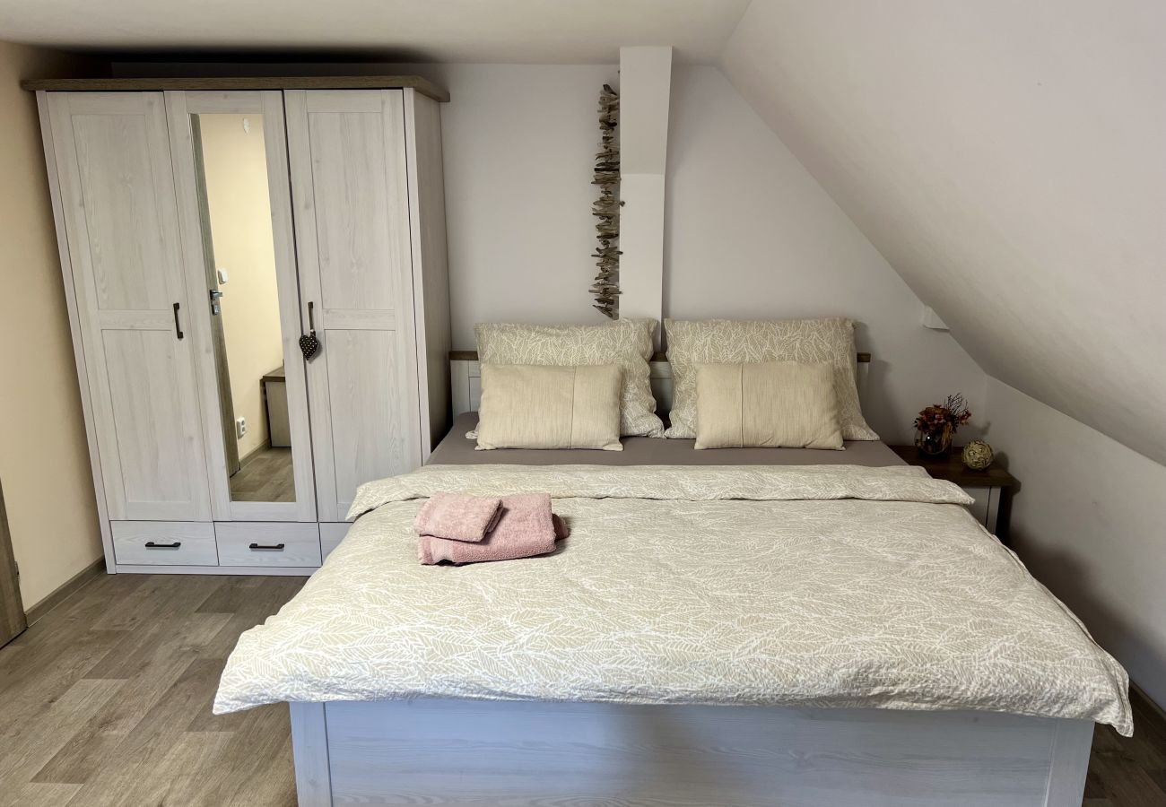 Villa in Tanvald - LSH141 