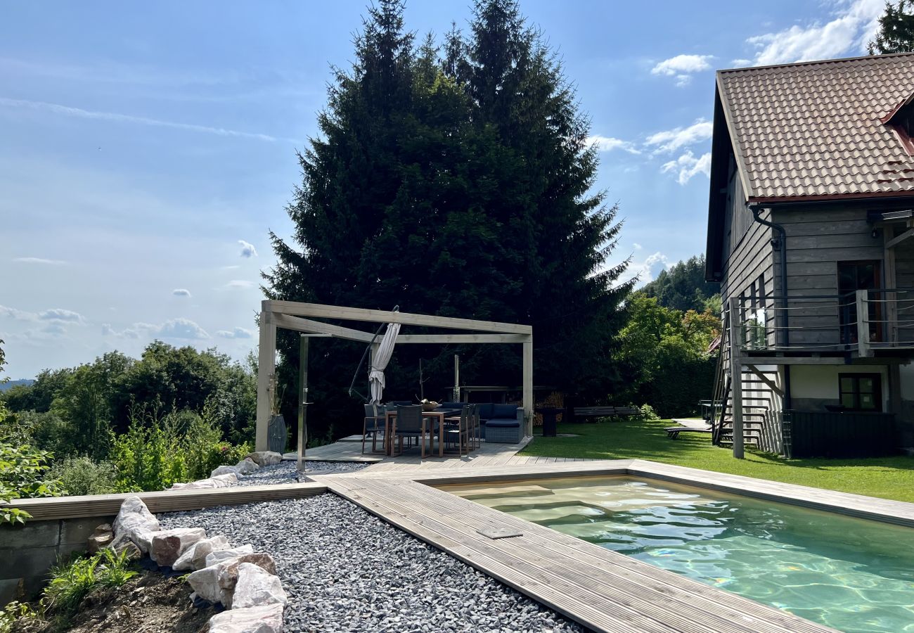 Villa in Tanvald - LSH141 