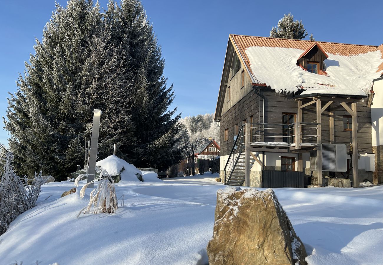 Villa in Tanvald - LSH141 