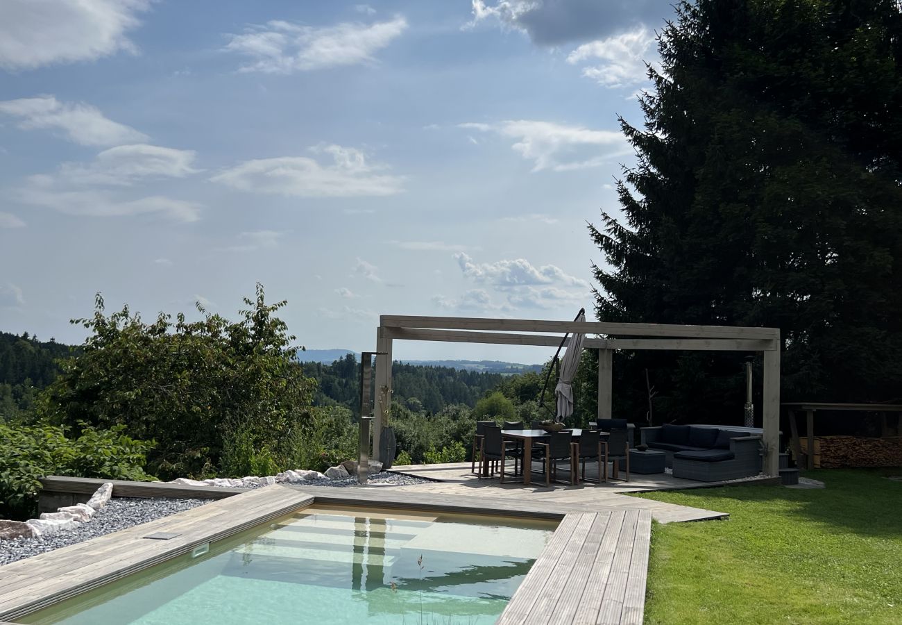 Villa in Tanvald - LSH141 