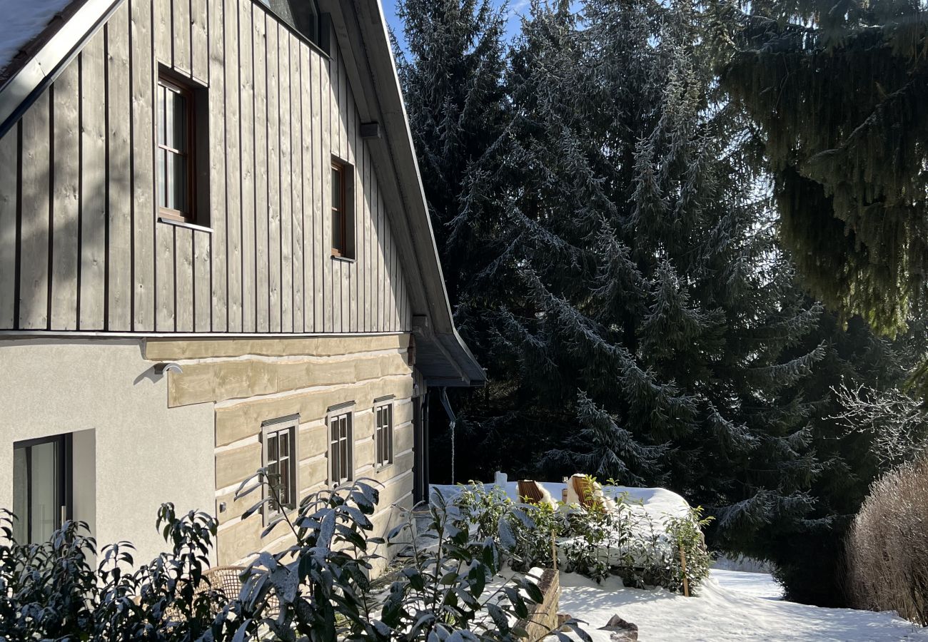 Villa in Tanvald - LSH141 