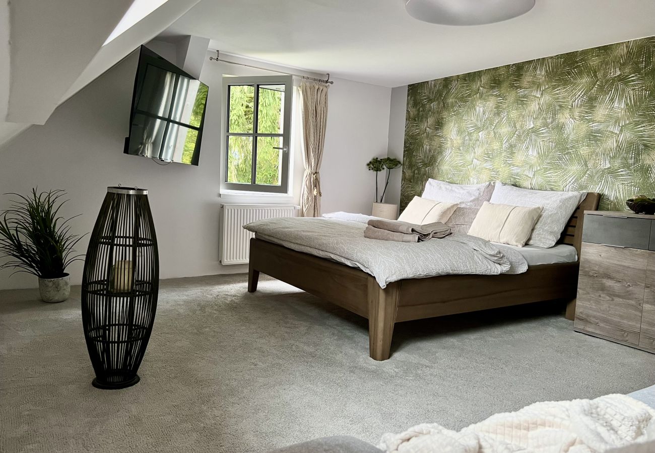 Villa in Tanvald - LSH141 