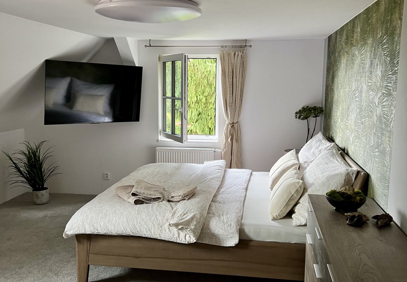 Villa in Tanvald - LSH141 