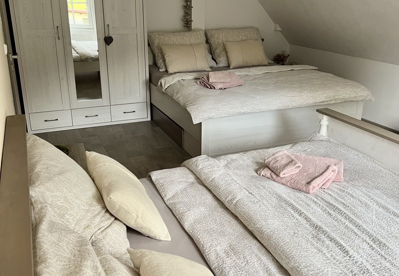 Villa in Tanvald - LSH141 