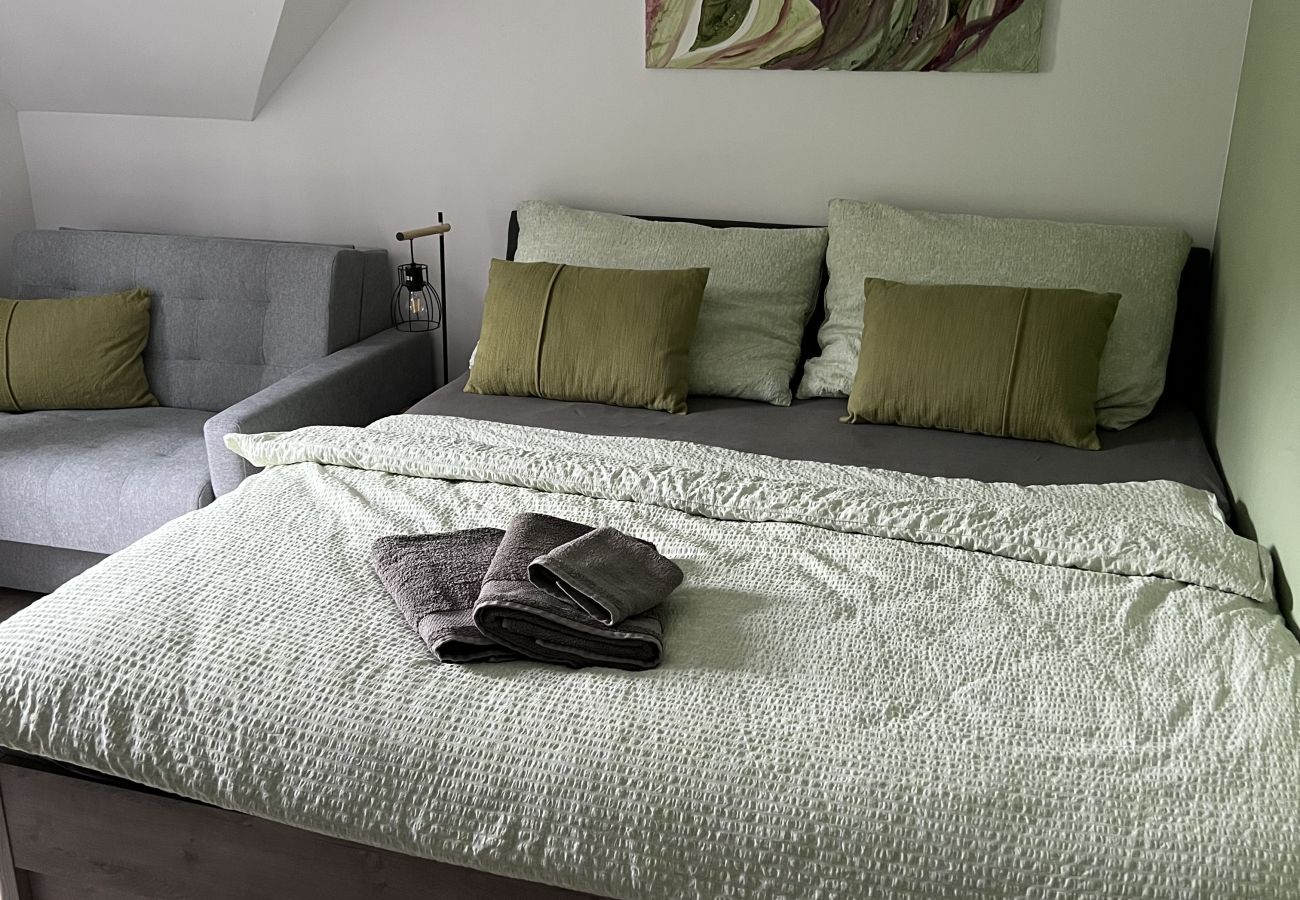 Villa in Tanvald - LSH141 