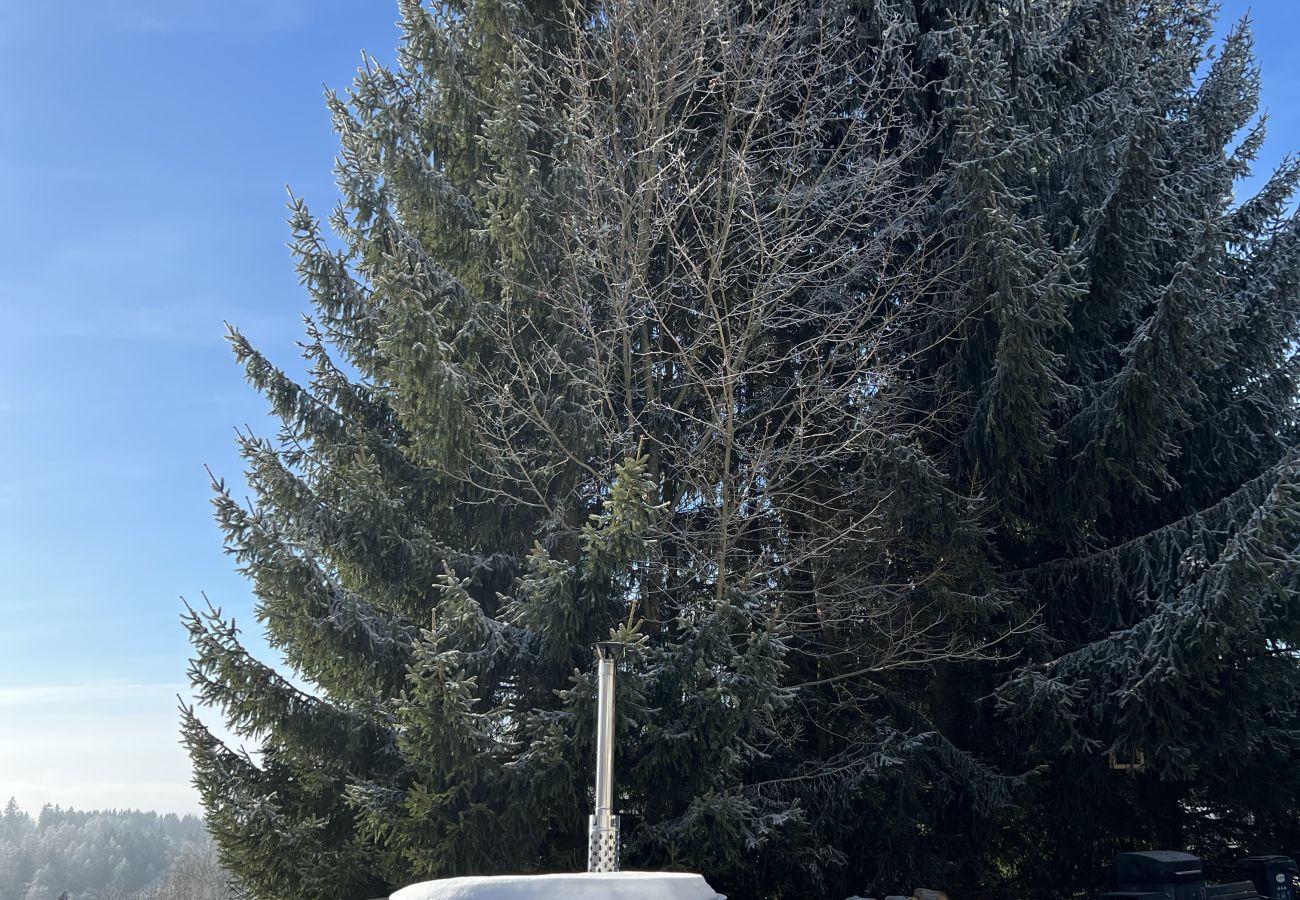 Villa in Tanvald - LSH141 