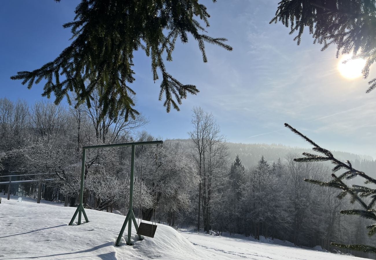 Villa in Tanvald - LSH141 