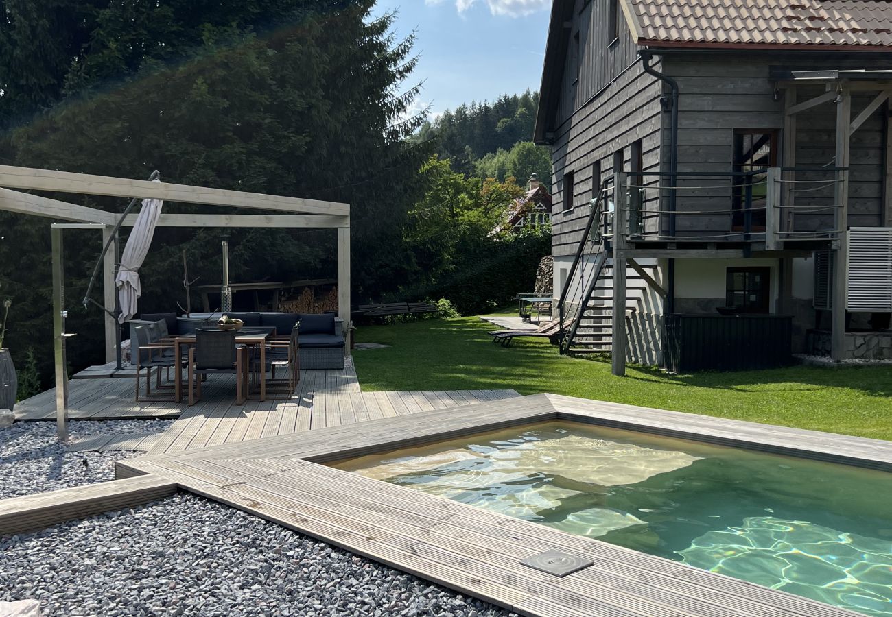 Villa in Tanvald - LSH141 