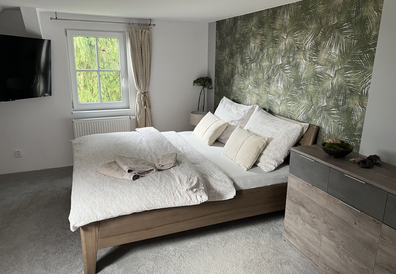 Villa in Tanvald - LSH141 