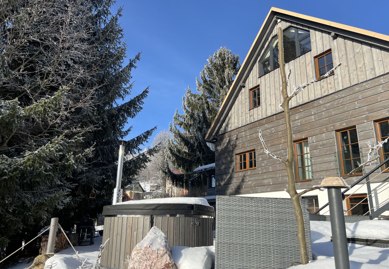 Villa in Tanvald - LSH141 