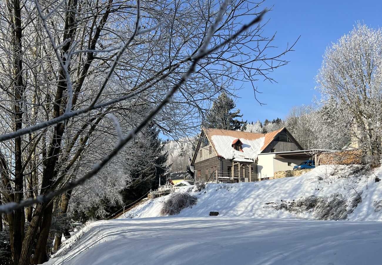 Villa in Tanvald - LSH141 