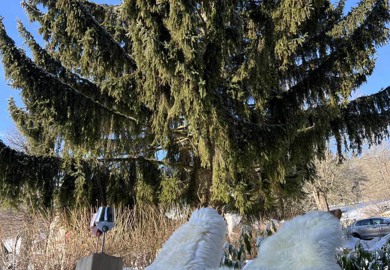 Villa in Tanvald - LSH141 