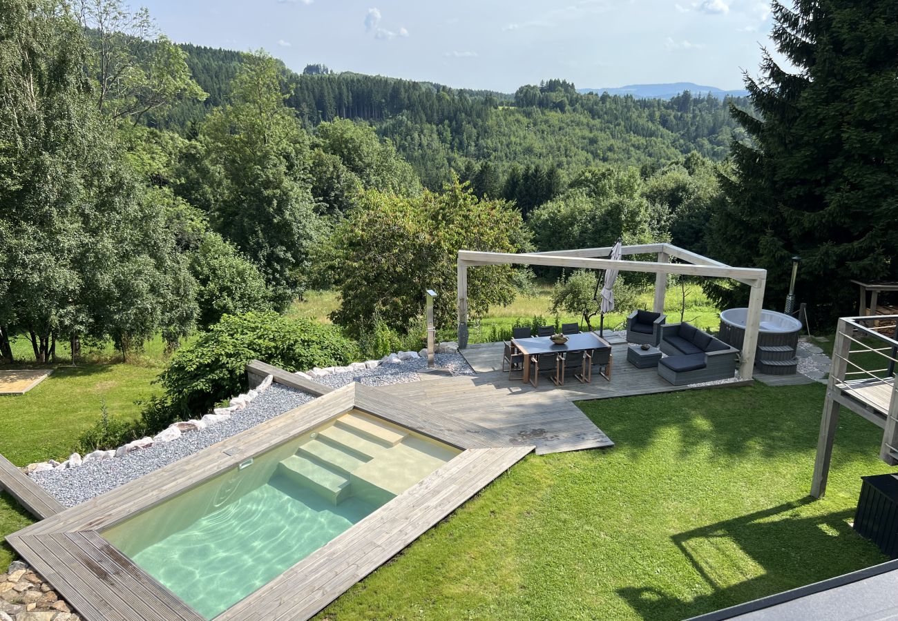 Villa in Tanvald - LSH141 