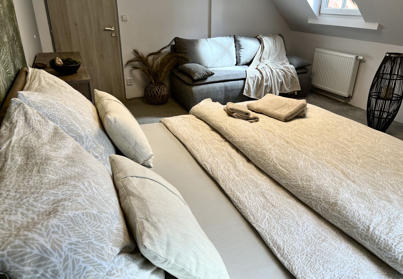 Villa in Tanvald - LSH141 