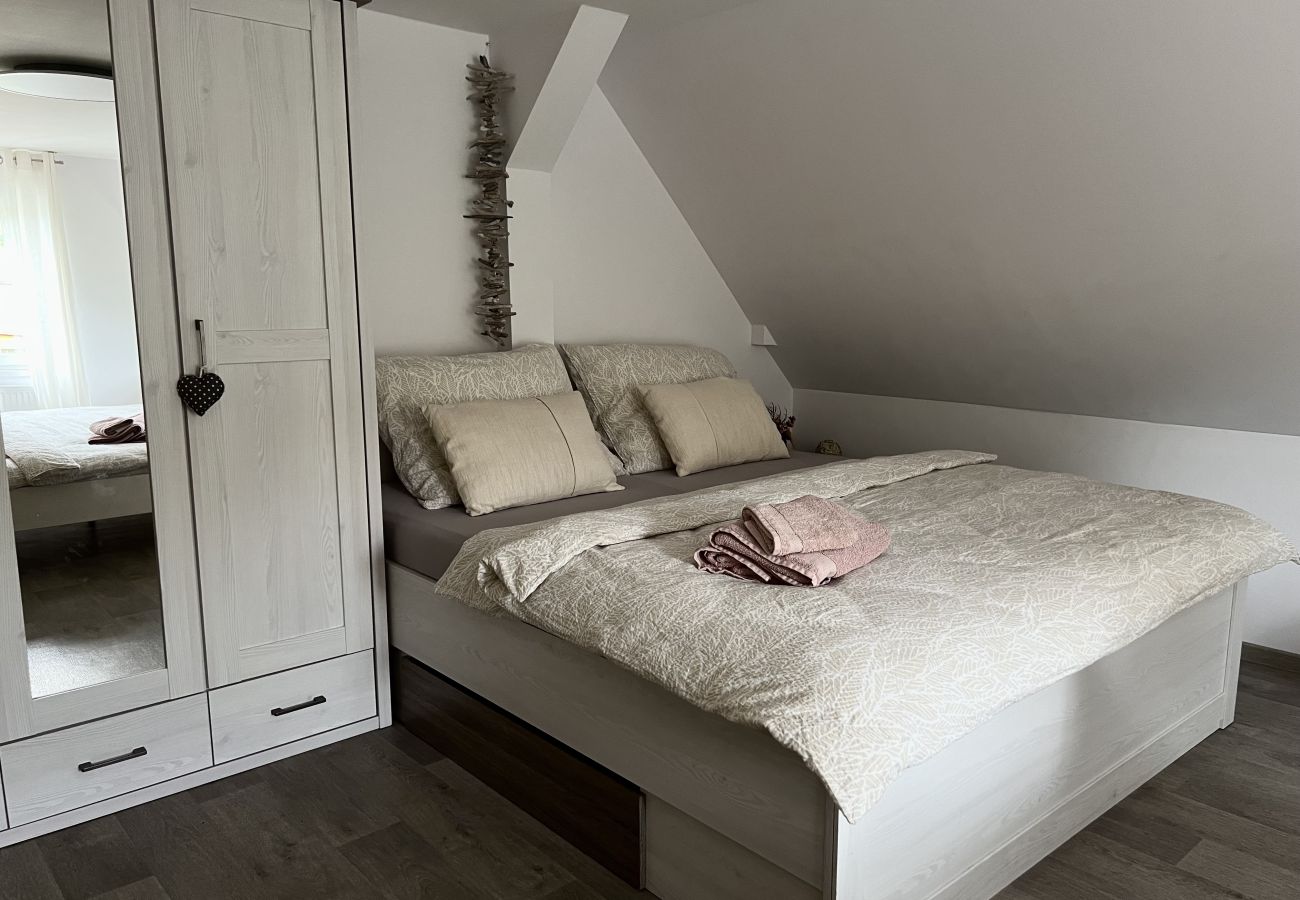 Villa in Tanvald - LSH141 