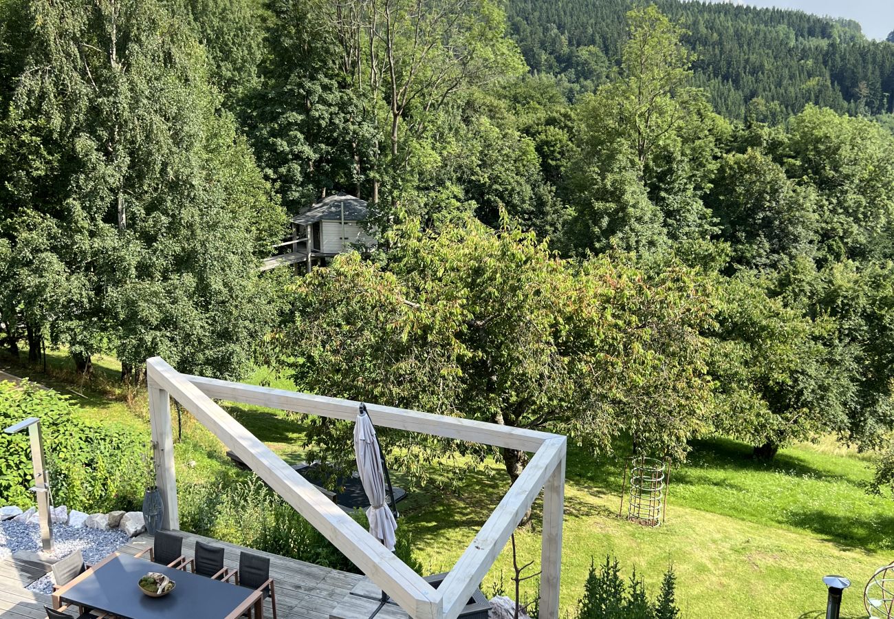 Villa in Tanvald - LSH141 