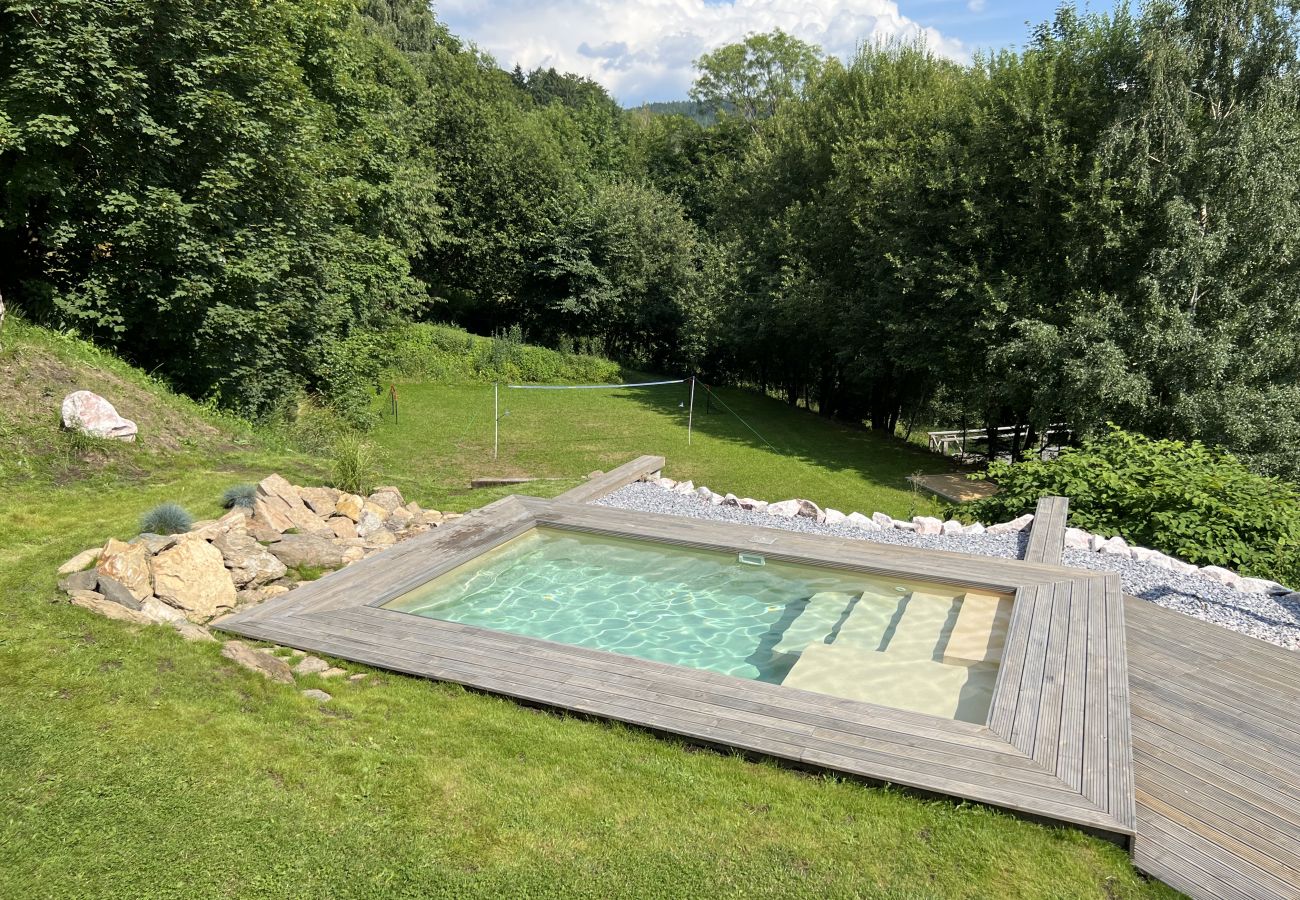 Villa in Tanvald - LSH141 