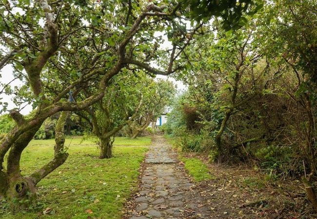 House in Ballyconneely - Guinness House  House in Ballyconneely - Guinness House