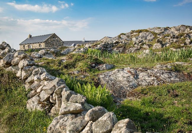 House in Ballyconneely - Paddy Carroll's Cottage where one can relax unwind House in Ballyconneely - Paddy Carroll's Cottage where one can relax unwind