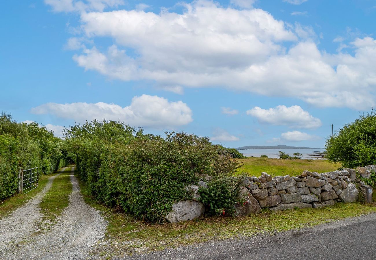 House in Cashel - Salmon Cottage offers breathtaking views 
