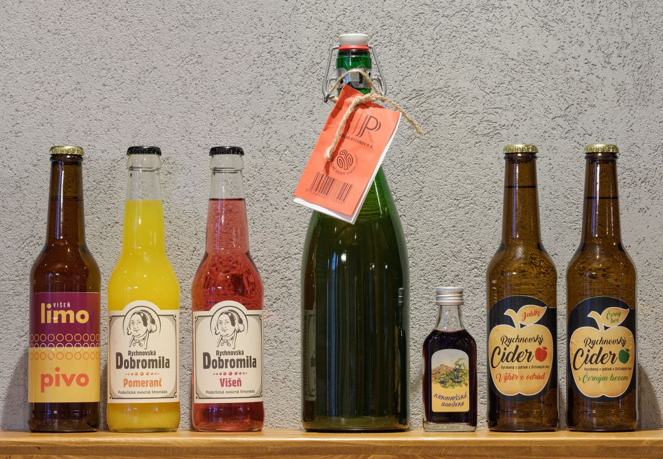 Villa in Cerný Dul - KCML115