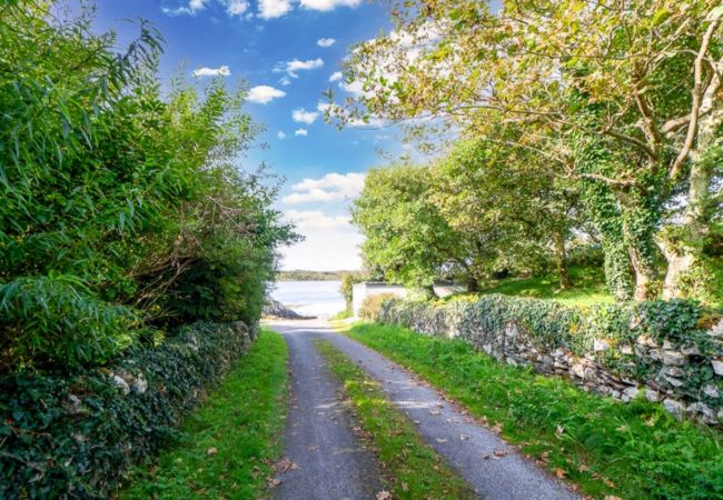 House in Clifden - Sycamore Cottage on the outskirts of Clifden  House in Clifden - Sycamore Cottage on the outskirts of Clifden