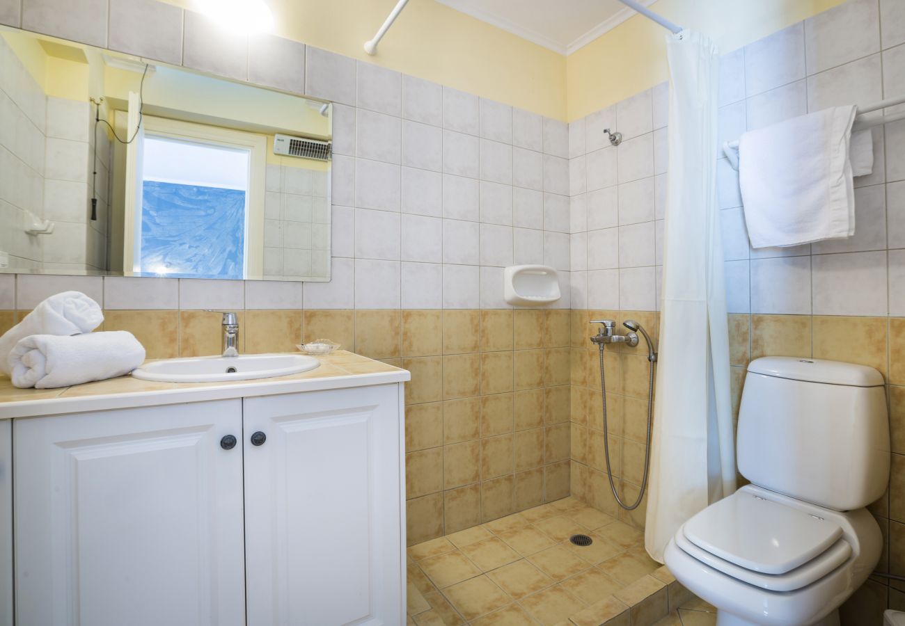 Villa in Argostoli - Villa Dionysus