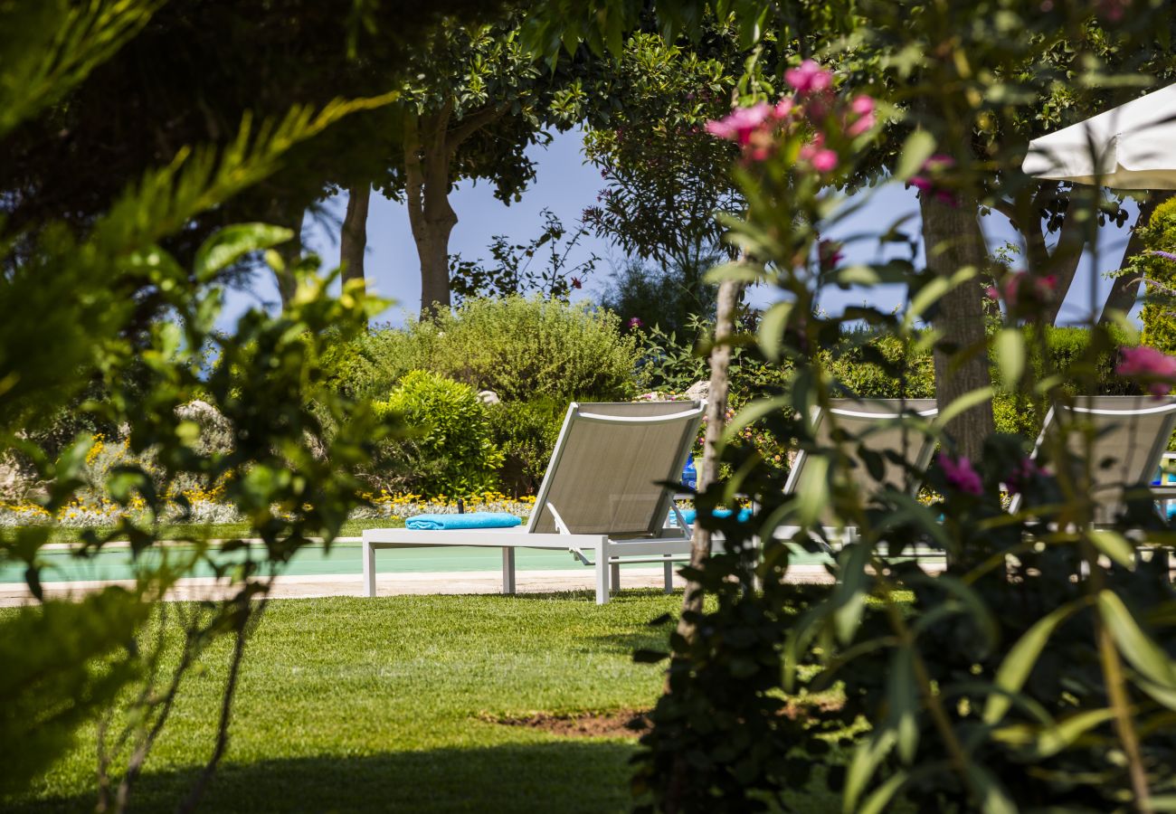 Villa in Argostoli - Villa Dionysus