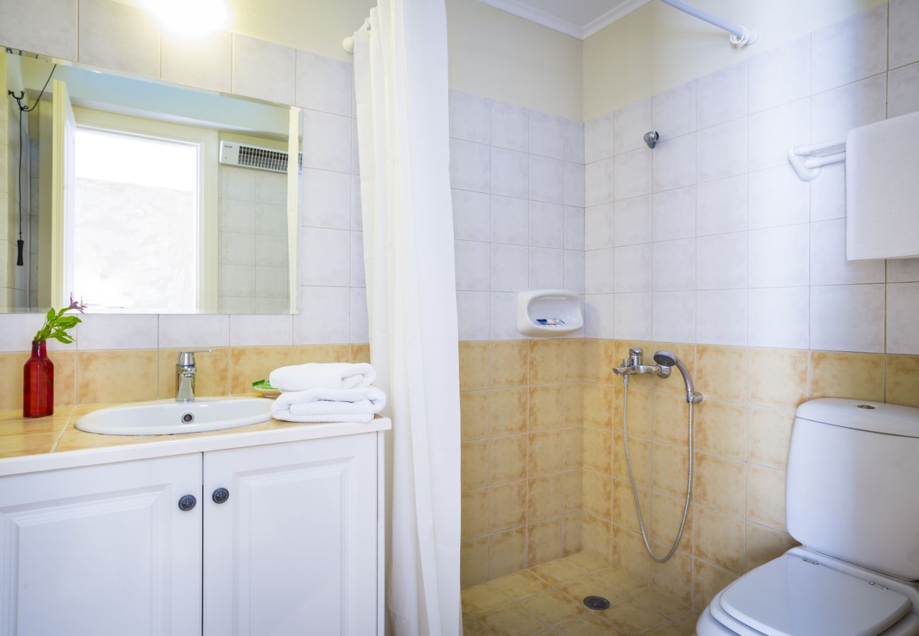 Villa in Argostoli - Villa Haris