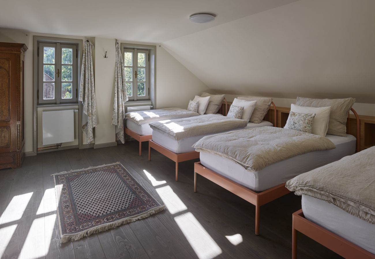 Villa in Manetín - WMM020 Tauhaus