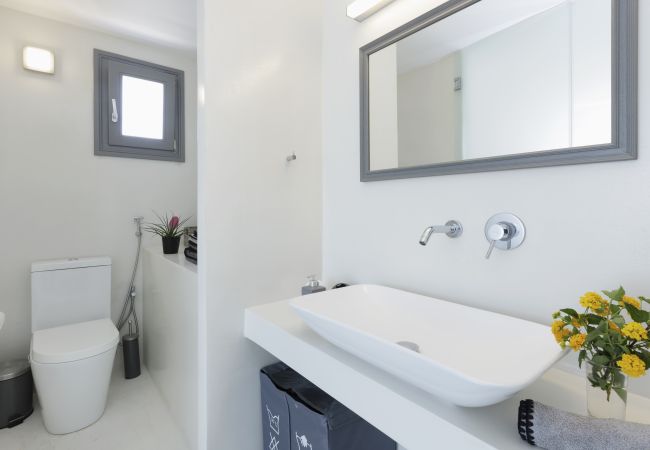 Villa in Naousa - Kolimbithres Rock Villa Villa in Naousa - Kolimbithres Rock Villa