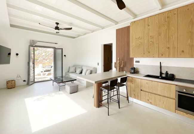 Villa in Naousa - Kolimbithres Rock Villa Villa in Naousa - Kolimbithres Rock Villa