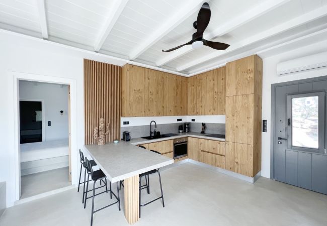 Villa in Naousa - Kolimbithres Rock Villa Villa in Naousa - Kolimbithres Rock Villa