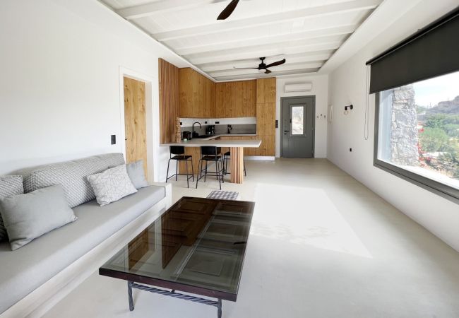 Villa in Naousa - Kolimbithres Rock Villa Villa in Naousa - Kolimbithres Rock Villa