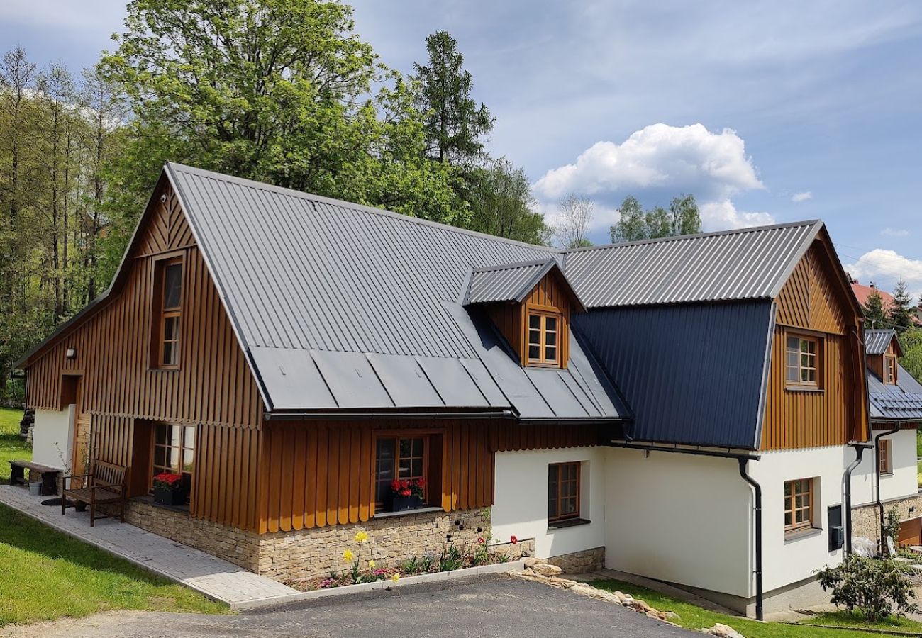 Apartment in Vysoké nad Jizerou - KDS007 