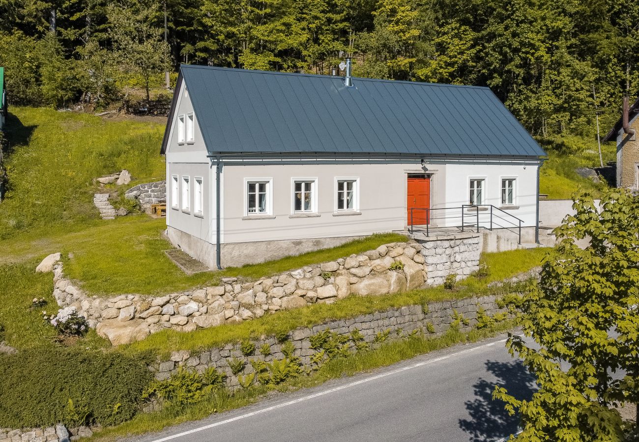 Villa in Desná - LDD032